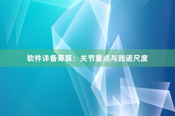 软件详备筹算：关节重点与践诺尺度