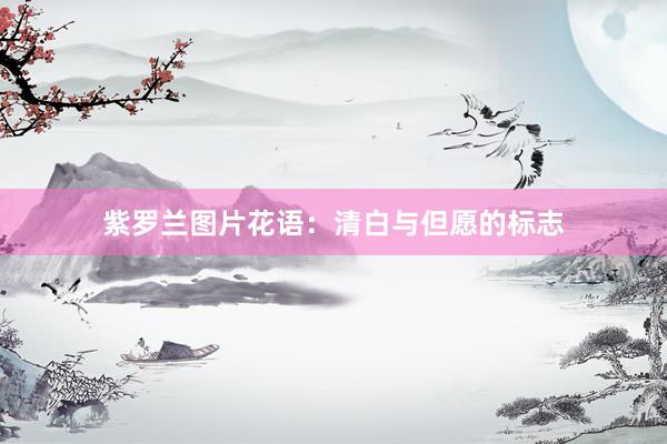 紫罗兰图片花语：清白与但愿的标志