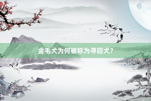 金毛犬为何被称为寻回犬？